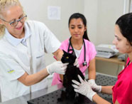 Atendimento de cão pequeno em clínica veterinária com presença de professora e alunas.