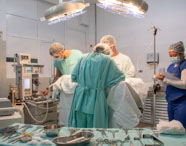 Equipe de Medicina Veterinária da Unoeste realiza cirurgia em animal de grande porte no hospital veterinário. Três profissionais de avental verde e touca atuam ao redor da mesa cirúrgica, enquanto instrumentadora organiza pinças e materiais em mesa auxiliar.