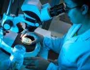Aluna de Agronomia do campus Presidente Prudente, Unoeste, realiza análise laboratorial utilizando microscópio, destacando a pesquisa científica e o ensino prático em ciências agrárias. O ambiente moderno evidencia o preparo para atuação no setor agrícola.