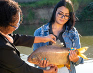 Duas pessoas, uma delas estudante de Zootecnia, seguram um grande peixe de escamas douradas próximo a um lago. Uma mão segura o corpo do peixe enquanto outra levanta sua nadadeira dorsal para análise. O fundo mostra água e vegetação, indicando atividade prática de piscicultura na universidade.