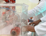 Aluno e professora durante experimento de hidráulica no laboratório de instrumentação da Unoeste. 