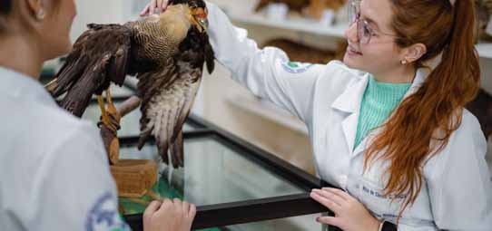 Estudante feminina de cabelos ruivos, usando jaleco branco e óculos, segura e manuseia com cuidado uma ave taxidermizada — aparentemente uma caracará ou gavião — sobre uma mesa de laboratório. Outra estudante à esquerda observa a atividade. Prateleiras com outros espécimes ao fundo compõem o ambiente de laboratório de zoologia.