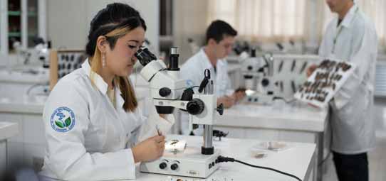 Estudante feminina, de jaleco branco com logotipo de instituição, olha pelo ocular de um microscópio estereoscópico em laboratório iluminado. Sua mão esquerda manuseia uma amostra sobre a platina. Ao fundo, outros alunos e um estudante masculino examinam materiais em bancadas separadas.