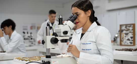 Aluna de jaleco branco utiliza um microscópio binocular durante atividade prática em laboratório de Ciências Biológicas. Sobre a bancada estão equipamentos e materiais utilizados na aula, enquanto outros estudantes de jaleco realizam atividades ao fundo.