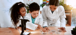 Fotografia de uma professora e duas crianças em um ambiente escolar que simula um laboratório, todos vestindo jalecos brancos. A professora, uma mulher morena, está de pé inclinada sobre uma mesa de madeira junto com uma menina negra e um menino branco. Os três olham com curiosidade e sorrisos para várias placas de Petri contendo diferentes tipos de sementes e grãos. À esquerda, sobre a mesa, há um microscópio preto com iluminação própria