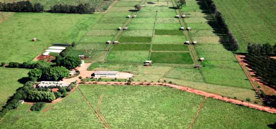 Vista aérea de uma fazenda experimental universitária com talhões regulares de diferentes culturas em tons de verde intenso, separados por estradas de terra vermelha. Estruturas de pesquisa e pequenas edificações brancas estão distribuídas pelo campo. Ao fundo, áreas de vegetação nativa e plantações organizadas compõem o mosaico agrícola.